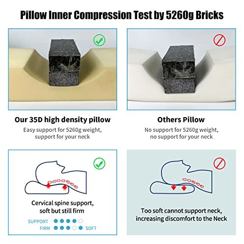 Eyelash Extension Neck Pillow With Acrylic Shelf Organizer Stand, PU