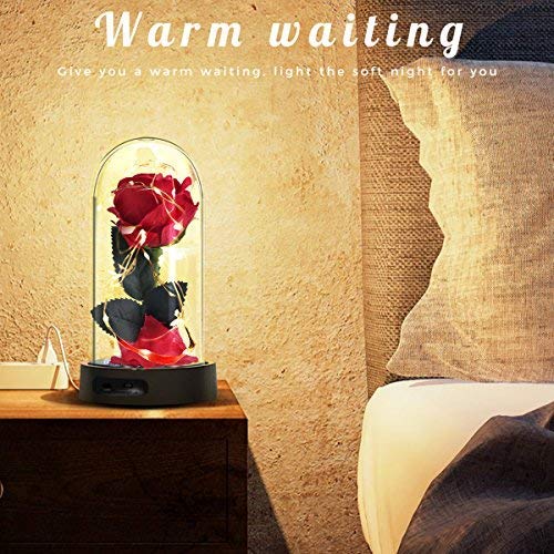 ucho Deluxsa Beauty and The Beast Rose,Enchanted Rose Lamp with Petals & LED Light,Last Forever Rose for Home Decor Holiday Party Anniversary Wedding