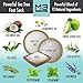 M3 Naturals Tea Tree Oil Foot Soak Infused with Coconut Oil and Stem Cell Epsom Salt Essential Oils for Toenail Fungus Athletes Foot Powder Bath Spa Stubborn Odor Softens Calluses Sore Feet Nails Toesthumb 3