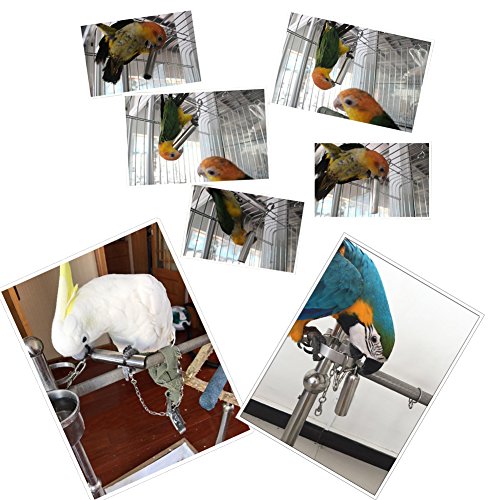 image for AUOON Bird Toys Stainless Steel Hanging Bell Bird Parrot Cage Bite Toy