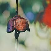 Oavand Japanese Traditional Lucky Small Wind Chimes for Outside, Iwachu Cast Iron Bless Temple Wind Bell Memorial and Sympathy Wind Chimes Indoor Garden Bell, Patio, Balcony (Plum bossom