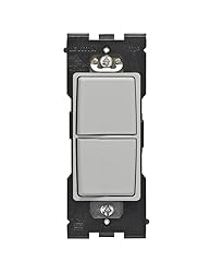 Leviton RE634-PG Renu Single Pole Combination