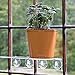 Aquaphoric Self Watering Planter (7”) + Fiber Soil = Foolproof Indoor Home Garden. Modern Decorative Planter Pot for All House Plants, Flowers, Herbs, African Violets, Succulents. Easy / Looks Great.