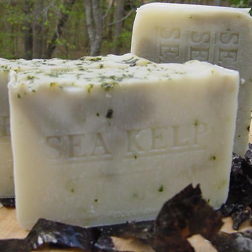 Handmade Soap Sea Kelp Varech with Organic Artisan Cocoa Butter Excellent Facial Soap 7 + oz Bar (*Unscented Soap) Handmade !