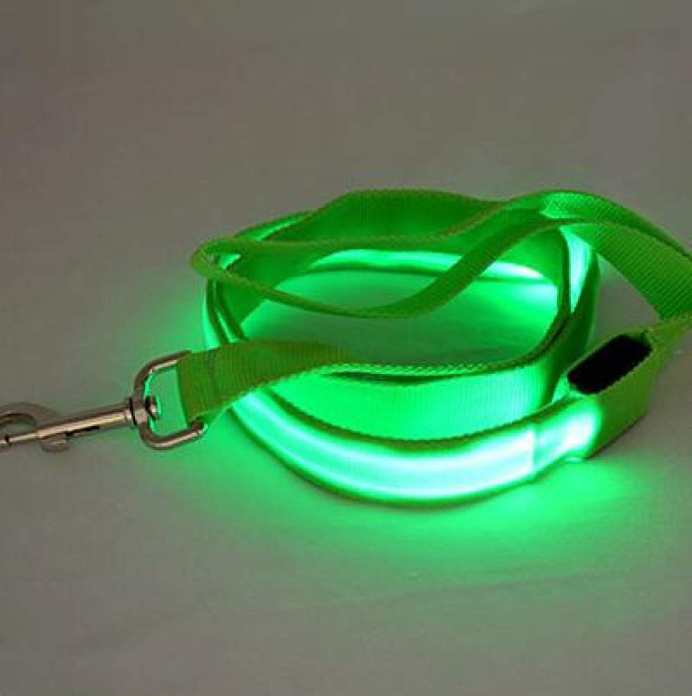 Vita Sharks Light Up LED Dog Lead/Leash for Safe Night Time Visibility in The Dark. Weatherproof Bright Visible Nylon Construction. Cool Fun Funky Dog Accessories (Green)