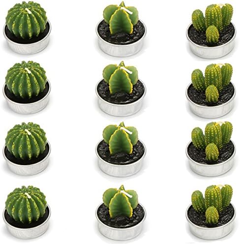 Ogrmar 12 PCS Cactus Candles