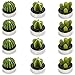 Ogrmar 12 PCS Cactus Candles Decorative Tea Light Candles for Home Party Birthday Wedding Decoration 3 Styles (Green)