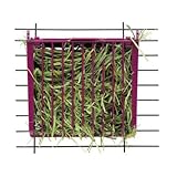 Buffet Feeder with Snap-Lock Lid Rabbit [Set of 5]