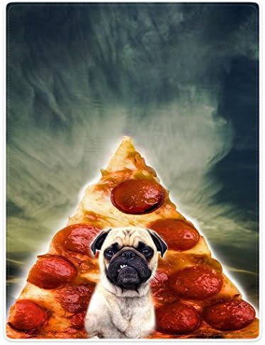 SXCHEN Blanket Sofa Bed Lightweight Plush Throw Blankets Funny Pug Dog Pizza Blue Sky 50"x80"