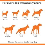 Nylabone Extreme Tough Dog Chew Toy Bones Peanut Butter Chicken Bacon 3-Piece view 7