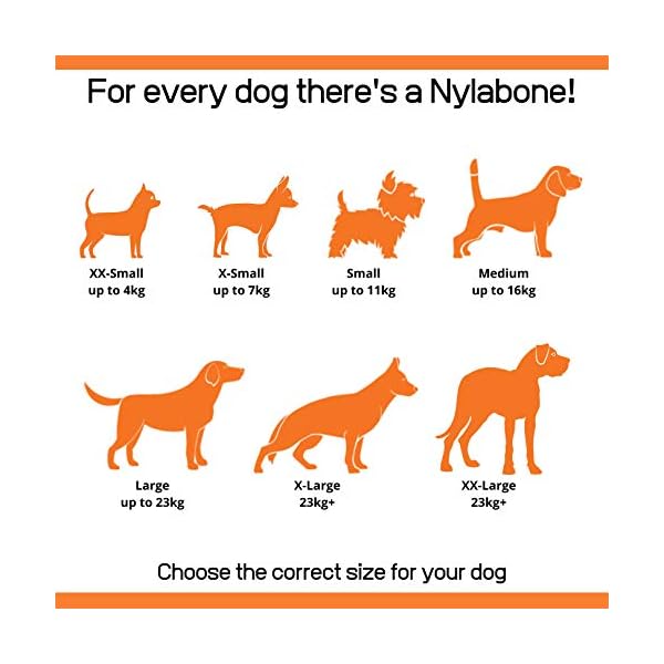 Nylabone Puppy Starter Kit, 3 Dental Dog Chew Bones, 1 Edible, 1 Gentle, 1 Extreme, for Small Breeds Puppies Up to 11 kg…