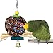 Parrot Bird Chewing Toy by PAMAGOO, Natural Rattan Ball Cage Toy Preening Toy for Bird Parrot African Greys Budgie Parakeet Cockatiel Lovebird Cage Toy