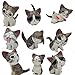 Chi Cat Toys, 9 Pcs Japanese Cute Chi's Sweet Home Cats Dolls Animal Figures Collection Toy Set For Miniature Garden Decoration(Gray)