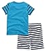 Fiream Little Boys' Cotton Clothing Short Sets(Blue,3T)