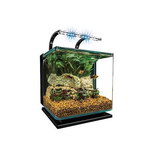 MarineLand Contour Glass Aquarium Kit with Rail Light Petz Bitz Pets Shop