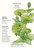 Envy Zinnia Seeds - .75 Grams - Annual