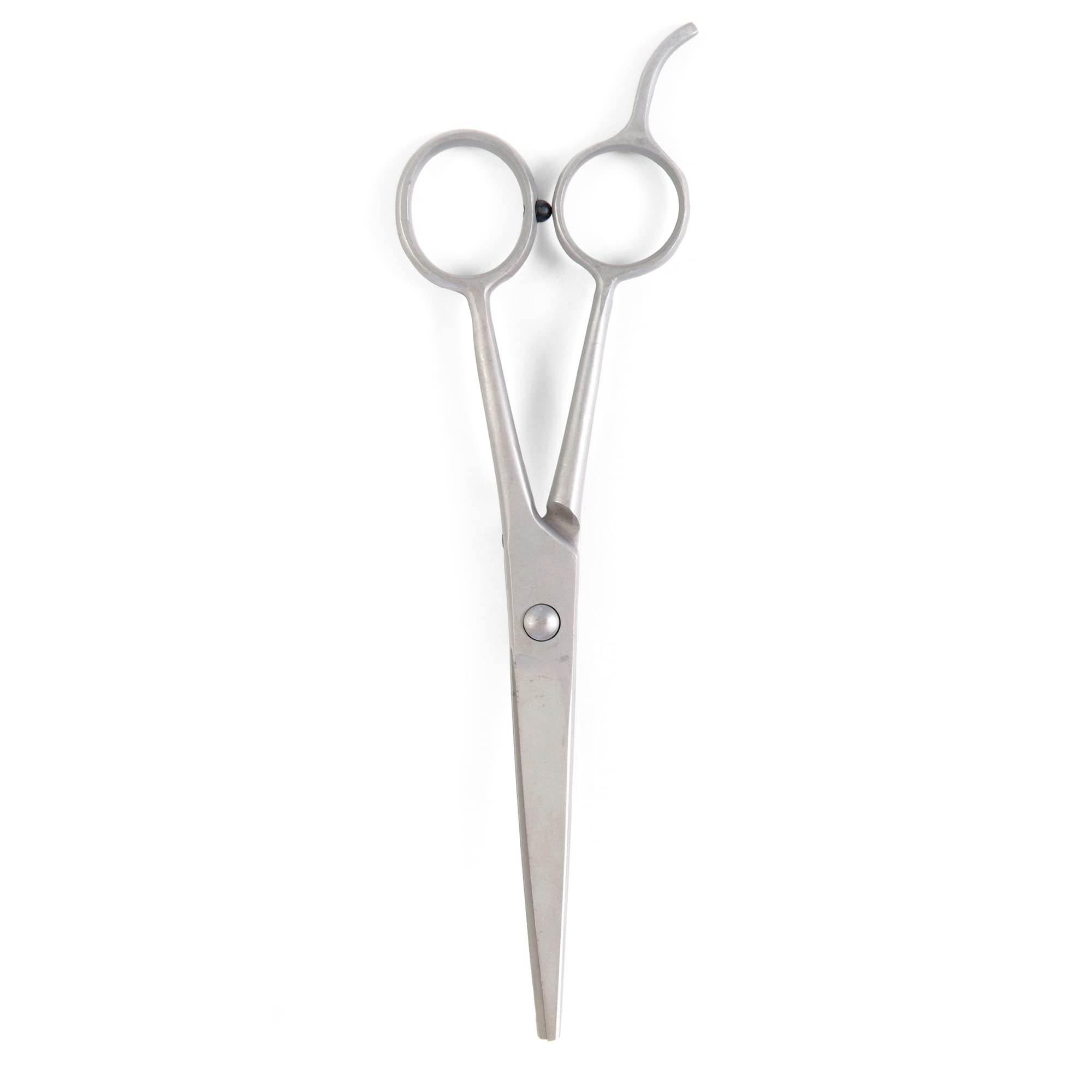 Ancol Ergo Straight Scissors, Clear, 525400