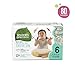 Seventh Generation Baby Diapers for Sensitive Skin, Animal Prints, Size 6, 80 count (Packaging May Vary)