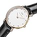 Daniel Wellington Women's 0951DW Classy Sheffield Stainless Steel Watch With Black Leather Band