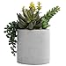 MyGift 7-Inch Artificial Succulent Plant Arrangement in Cement-Tone Planter