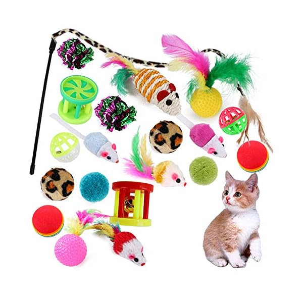 21-Pcs-Cat-Toys-for-Indoor-Cats-Collapsible-Cat-Tunnel-Interactive-Feather-Teaser-Wand-Ball-Toy-for-Kitten-Cats 21 Pcs Cat Toys for Indoor Cats Collapsible Cat Tunnel Interactive Feather Teaser Wand Ball Toy for Kitten Cats