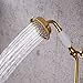 4 Inch Brass Fixed Handheld Shower Head with 60