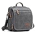 Plambag Canvas Messenger Bag Small Travel School Crossbody Bag