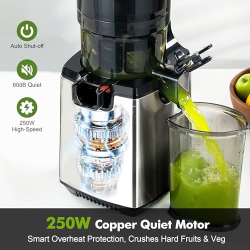 Fretta Cold Press Juicer, 135mm Feed Chute, Whole Fruit Juicer, Easy Clean | Less Prep, Family Batch Juicing, Quiet Operation for Daily Juicing, Stainless Steel Housing, Safety Lock and Reverse Function