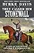 They Called Him Stonewall: A Life of Lieutenant General T. J. Jackson, CSA by Burke Davis