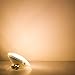 Haian Support PAR36 LED Landscape Bulb,9W 900LM 50W Halogen Equivalent,3000K Warm White,12V AC/DC,Water Resistant,PAR36 LED Bulb for Landscape Lighting,Off-Road Vehicles,RV Vehicles,Tractor (1 Pack)