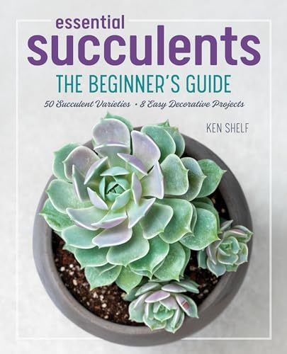 The Illustrated Encyclopedia of Cacti and Succulents: Riha, J