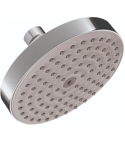 hansgrohe 27486821 Raindance S 150 1-Jet Shower Head, Brushed hansgrohe 27486821 Raindance S 150 1-Jet Shower Head, Brushed
