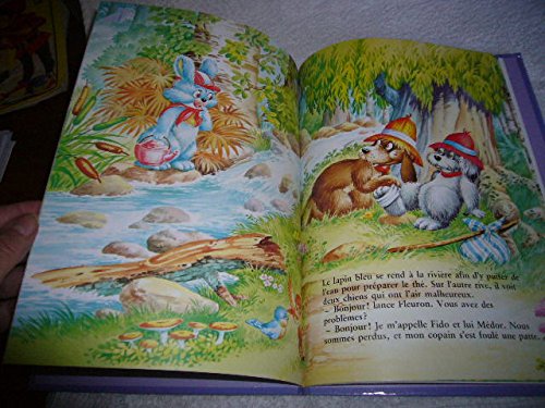 Le  petit lapin bleu campe en montagne