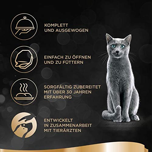 Sheba-Empfehlung-der-Saison-Katzenfutter-mit-wechselnden-Geschmackssorten-je-nach-Saison