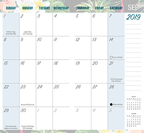 2019 Flamingo Two-Year-Plus Pocket Planner: by Sellers Publishing, 3.5 x 6.5; (CC-0550)