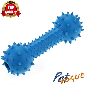 PetVogue Bouncy Rubber Bone Pet Chew Toys for Puppies (Multi, Small)