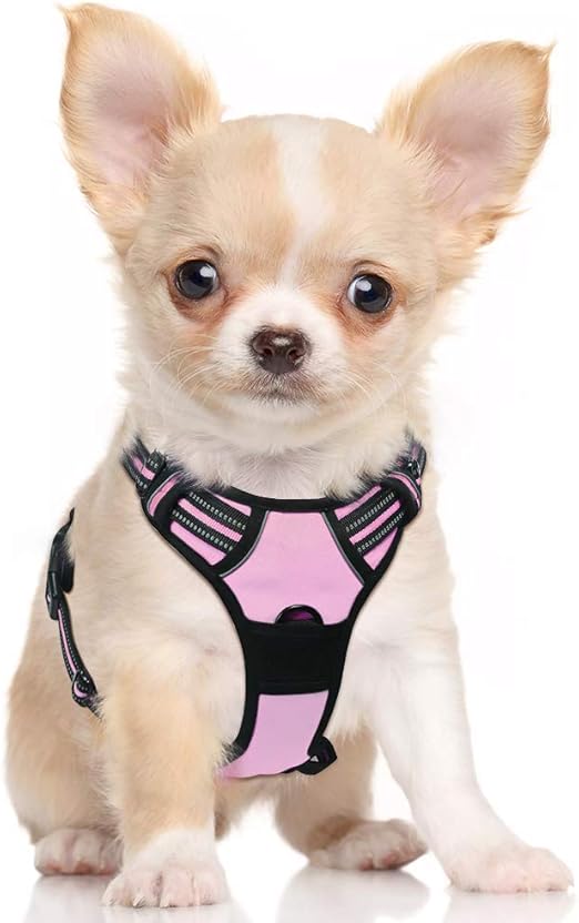 harness for small dogs amazon