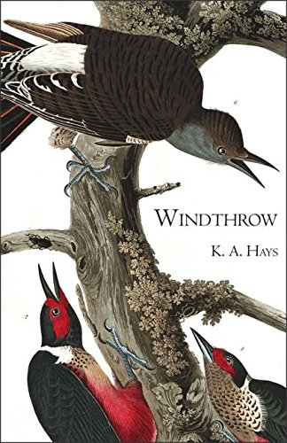 Windthrow (Carnegie Mellon Poetry Series)