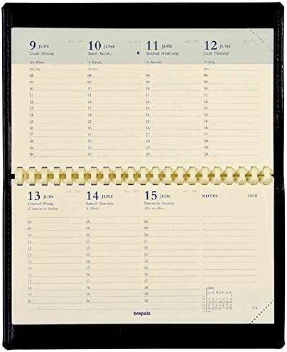 Brepols Agenda Semainier Spirale Accent Civil 2019 90 X 160 Mm A L Italienne Papier Ivoire Noir Amazon Fr Fournitures De Bureau