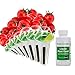 AeroGarden Red Heirloom Cherry Tomato Seed Pod Kit primary