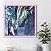 5D DIY Diamond Painting by Number Kits,DIY Diamond Painting kit for Hone Wall Decoration Girl and Dragon 11.8x11.8in 1 Pack by AxiEr
