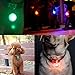 Osense Dog Cat Pet Collar LED Light 6Pcs,Clip-On Pet Dog Lights for Collars,Waterproof Shockproof Safety Night Walking Lights for Dogs Stainless Steel Carabiner Upgraded,Battery Included and 6 Extra