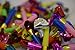 72 ct DJ Party Blowers With Noise / Squawkers / Party Supplies / Party Favors / Party Blowers