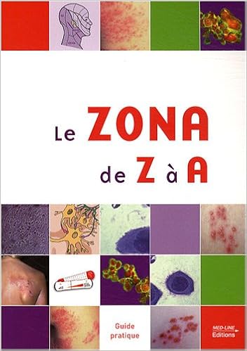 Le zona de Z à A, by Sophie Alain Thierry Blanchon
