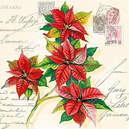 Stella Di Natale Tovaglioli Di Carta.Tovaglioli 33 X 33 Cm Ambiente Per Natale Immagine Christmas Greetings Stella Di Natale Contenuto 20 Pezzi Amazon It Casa E Cucina