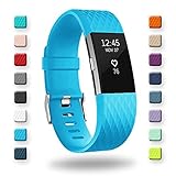 POY Replacement Bands Compatible for Fitbit Charge 2, Classic & Special Edition Sport Wristbands, Cerulean Large, 1PC