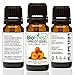 BioFinest Apricot Kernel Organic Oil - 100% Pure Cold-Pressed - Best Moisturizer for Hair Face Skin Acne Sunburn Cuts Wrinkle Scars Eczema - Essential Antioxidant, Vitamin E - Free E-Book (10ml)