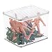 mDesign Kids/Baby Toy Storage Box, for Action Figures, Cars, Crayons, Puzzles - 6.75" x 5.75" x 3", Clear