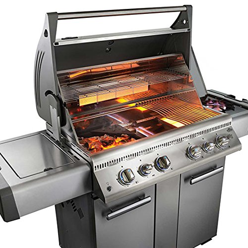 Napoleon LEX605RSBINSS Natural Gas Gas Barbeque Reviews