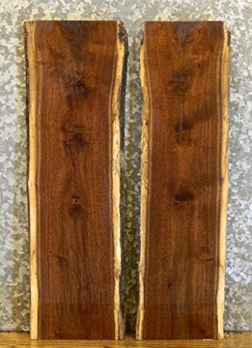 2- DIY Live Edge Black Walnut Wood Shelf Slabs/Charcuterie Boards T: 1 3/8'', W: 9 3/4'', L: 30 3/16'' - 8543-8544